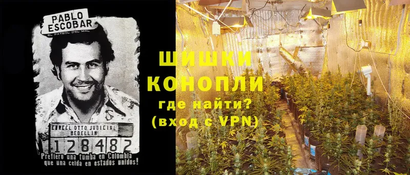 Каннабис Ganja  Западная Двина 